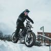 JANSNO Electric Bike 20" x 4.0 Electric Bike for Adults with 750W Brushless Motor, Long-Lasting 48V 14Ah Removable Battery, 7-Speed Transmission